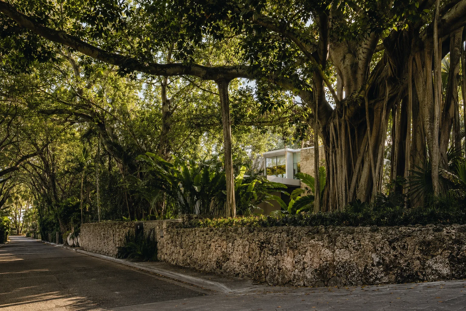 A shaded residential lane in Coconut Grove beneath a dense canopy of mature oaks and banyans, dappled light on a low stone wall, a glimpse of a modern villa behind foliage, no people in frame.